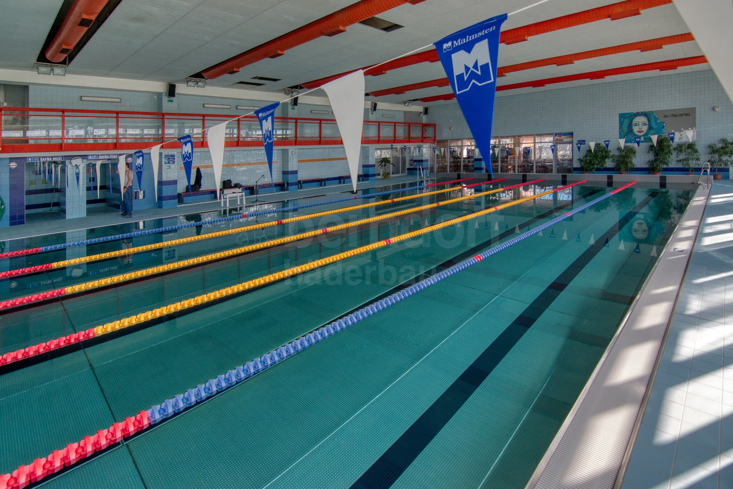 4d_LEVICE_Plavecký bazén 25m.jpg